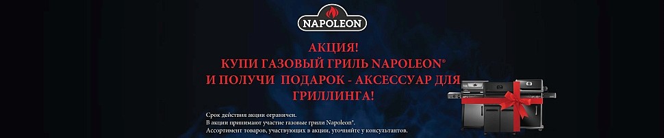Газовые грили Rogue Napoleon в Уфе
